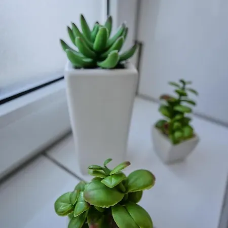 Hbf - Bahnhof Apartamento *