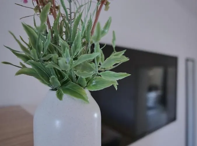 Hbf - Bahnhof Erfurt