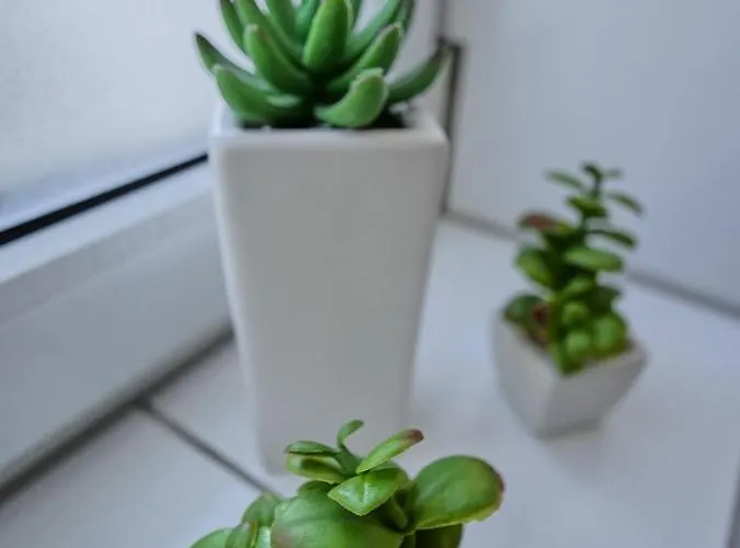 Hbf - Bahnhof Apartamento *